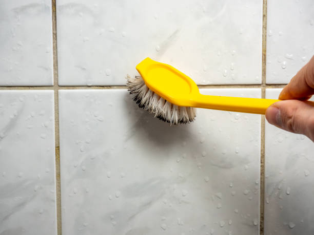 Best Emergency Mold Remediation in Kerrville, TX